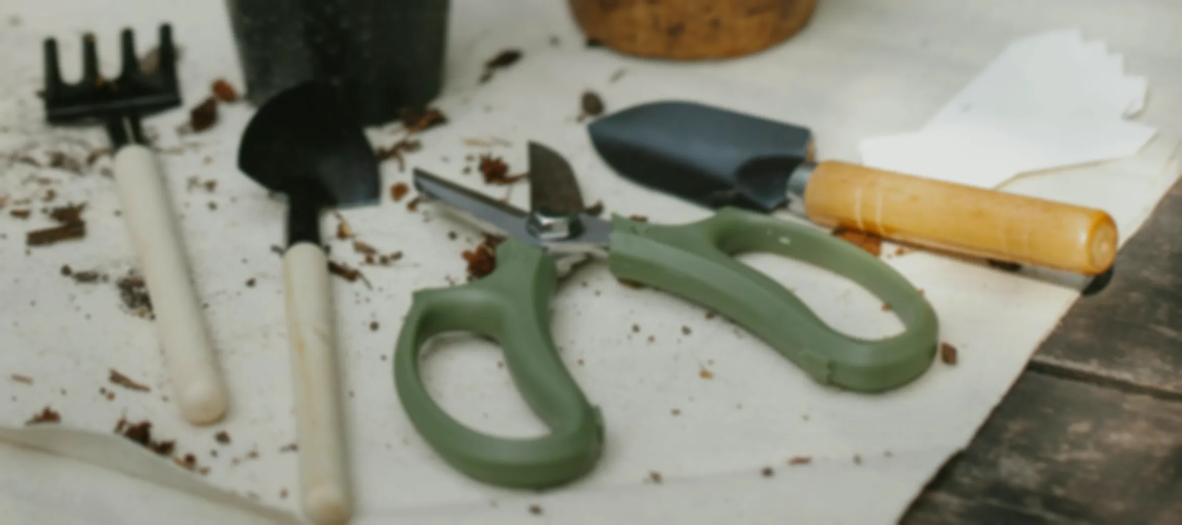 Kit Básico, pero imprescindible para el cuidado de tus plantas