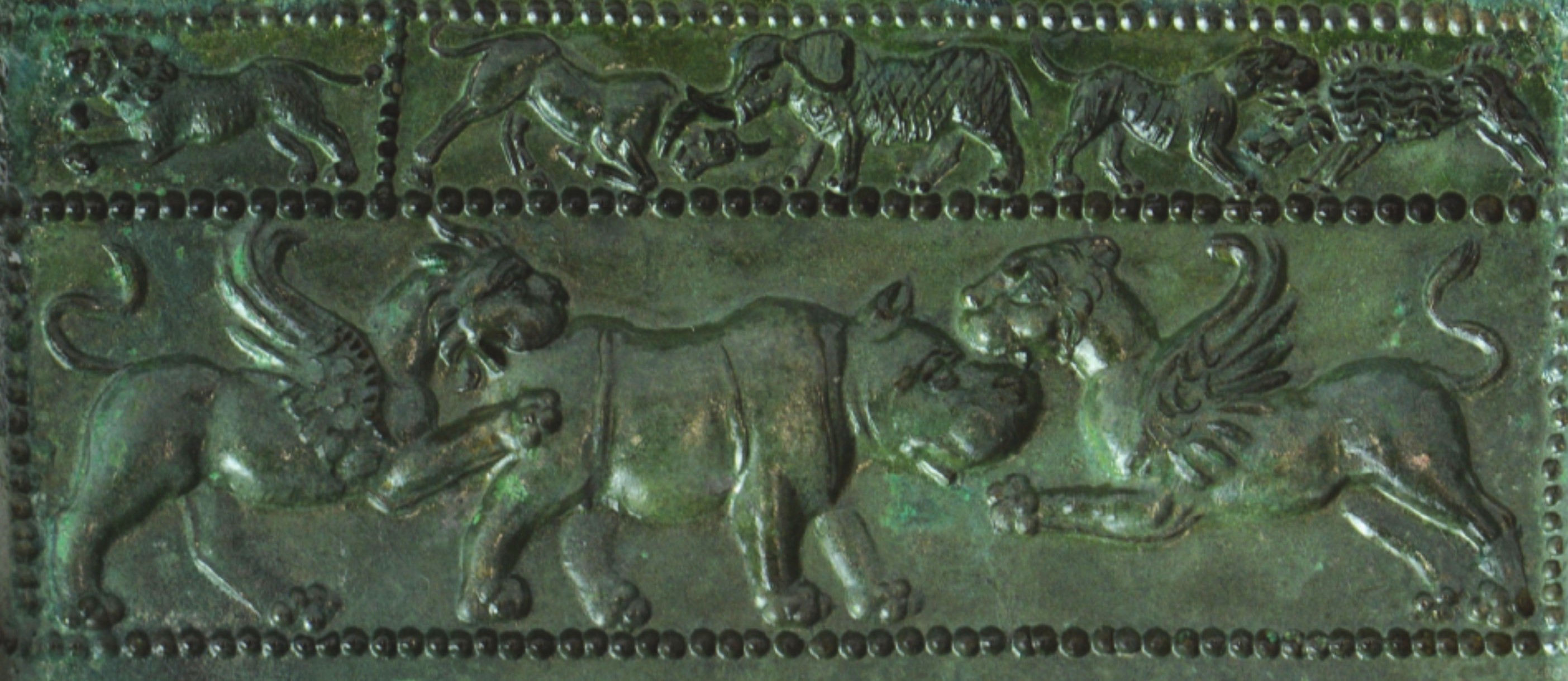 Doi grifoni leu atacand