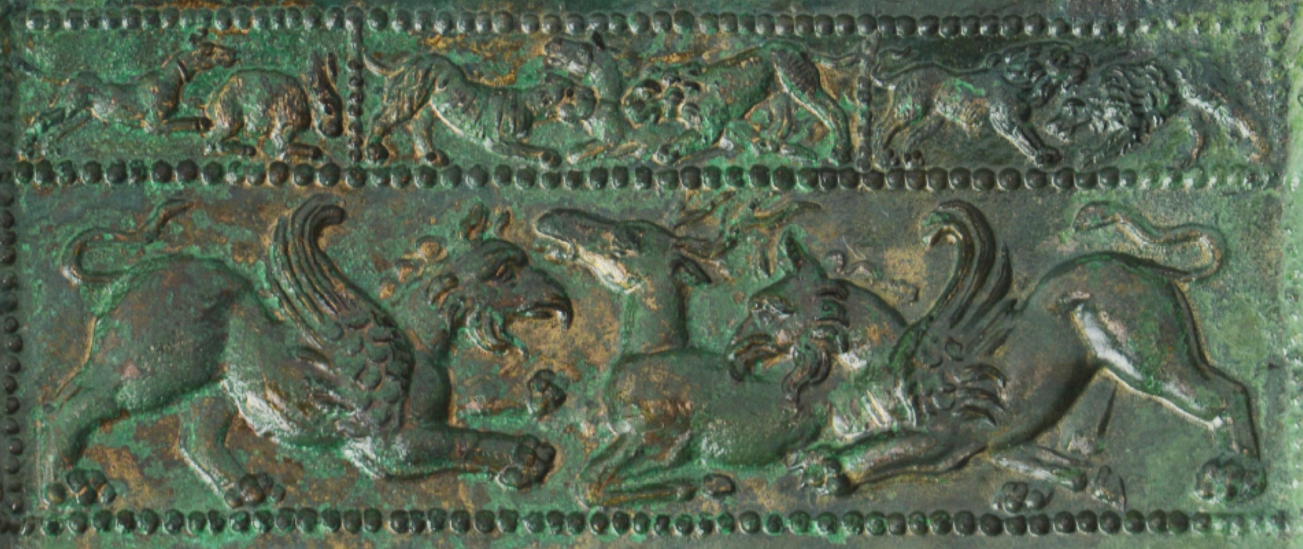 Doi grifoni vulturi in atac