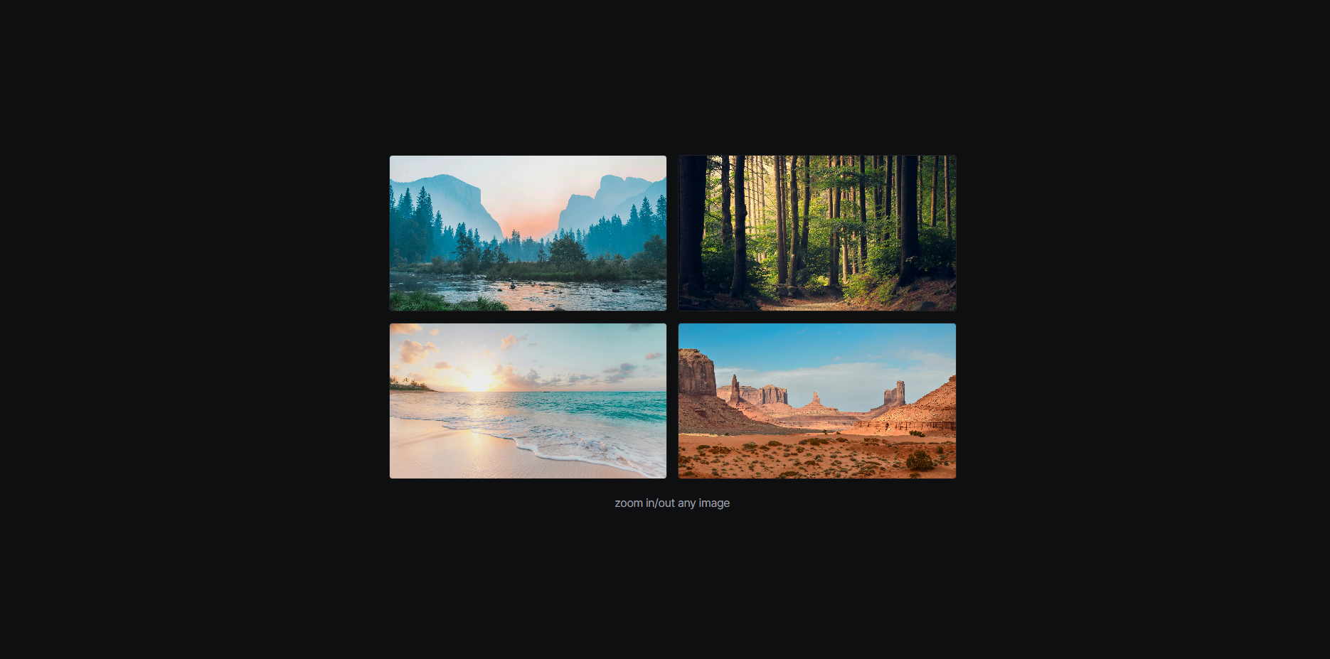 Zoom Image Component