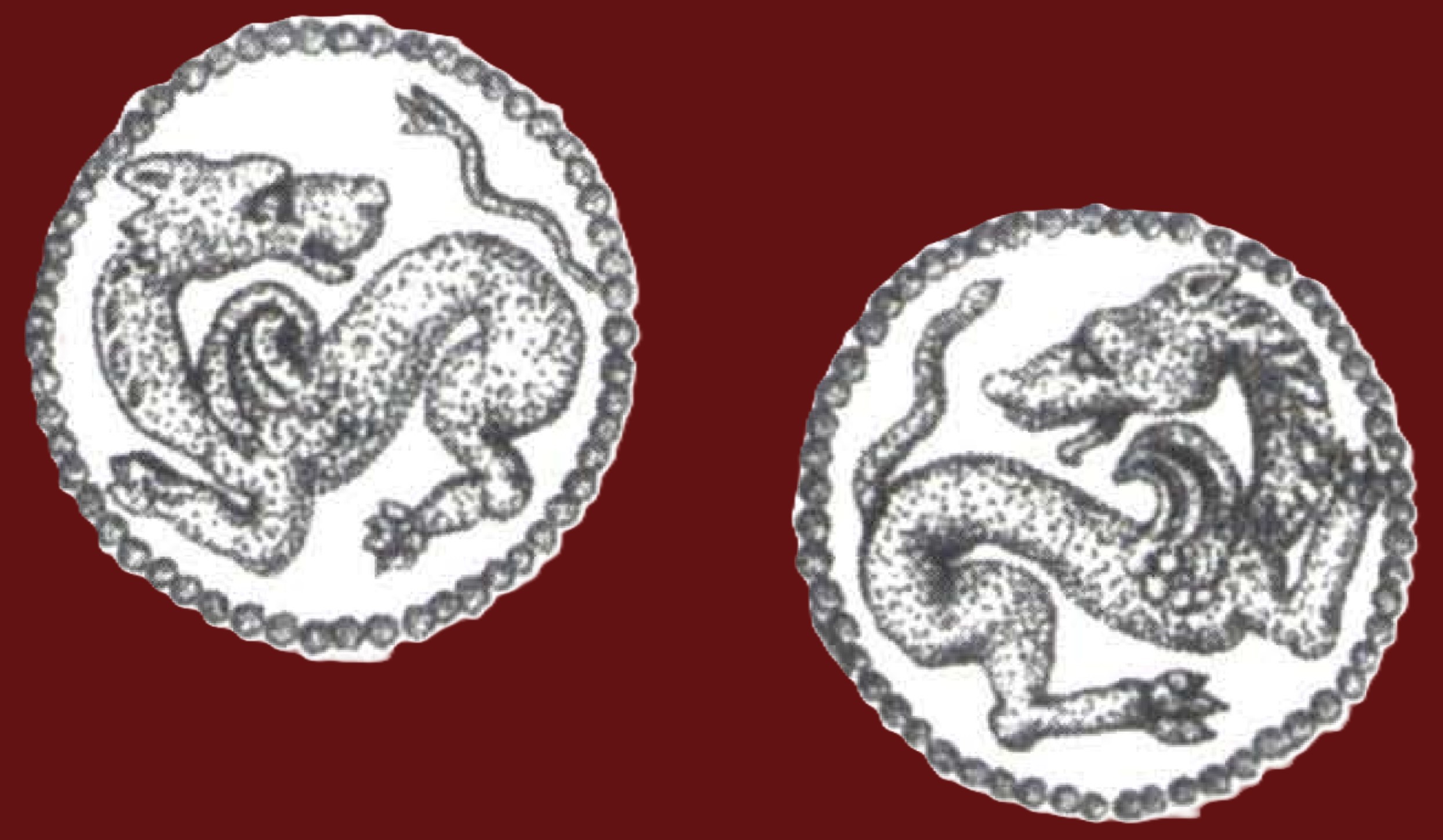 Grifoni lup in medalioane